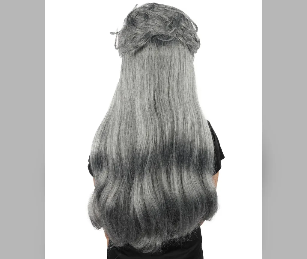 Grey hair in a twisted half up style with long lengths flowing down the back, witchy halloween hair for long hair